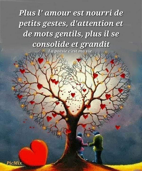 WhatsApp Image 2026-06-04 at 21.52.17 (2)